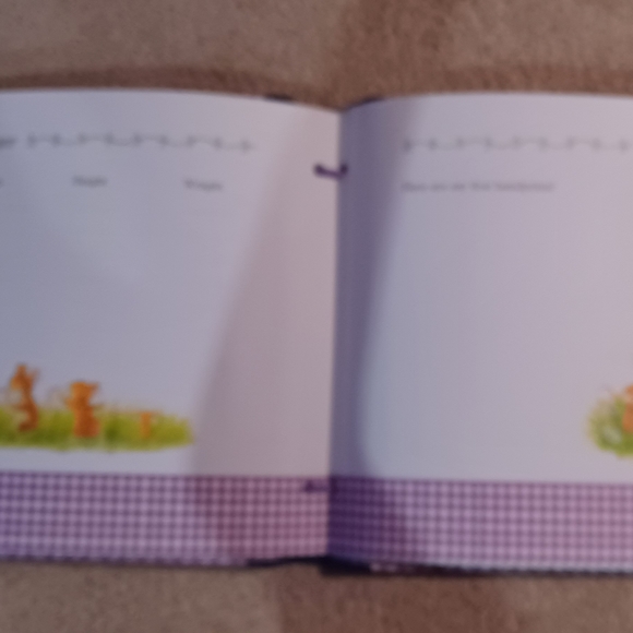 Baby Days - A Record of Baby's First Year memory book (NEW) - Picture 2 of 2